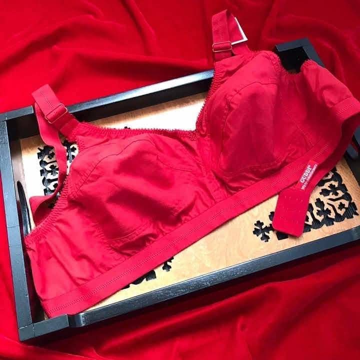 💥ইন্ডিয়ান প্রিমিয়াম গুড্ডি ব্রা 💥